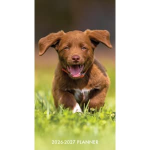 2026-2027 Willow Creek Press 2-Year Monthly Checkbook/Calendar, 3-1/2in x 6-1/2in, Puppy Love, January 2026 To December 2027, 56622