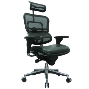 Raynor Eurotech Ergohuman Ergonomic Bonded Leather/Mesh High-Back Chair, Black/Chrome