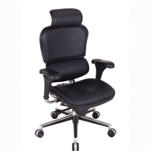 Eurotech Ergohuman Ergonomic Bonded Leather High-Back Chair, Black/Chrome