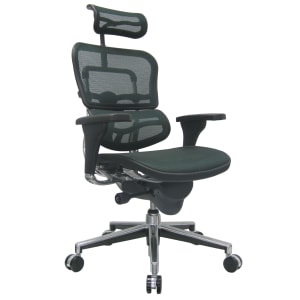Raynor Eurotech Ergohuman Mesh High-Back Office Chair, Black/Chrome