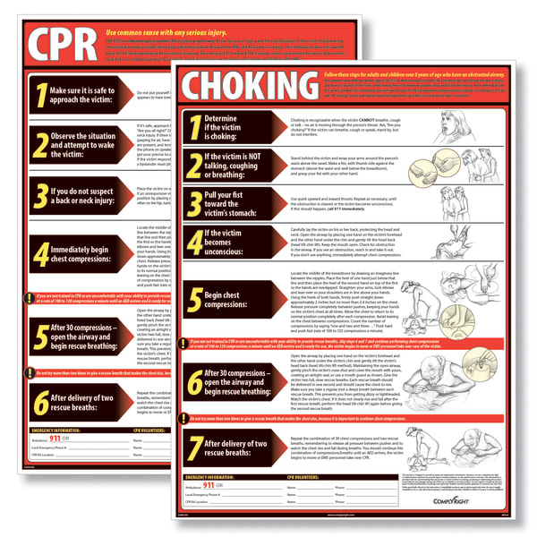 ComplyRight CPR And Choking Poster Bundle, English, 18in x 24in, English