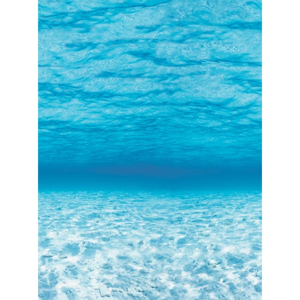 Pacon Fadeless Designs Bulletin Board Paper, 48in x 50ft, Under The Sea