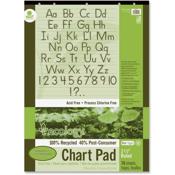 Ecology Chart Pad, 1 1/2in Ruled, 24in x 32in, Pad Of 70 Sheets