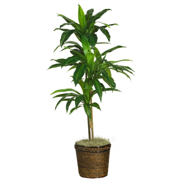 Nearly Natural Dracaena 48inH Silk Real Touch Plant With Basket, 48inH x 22inW x 22inD, Green