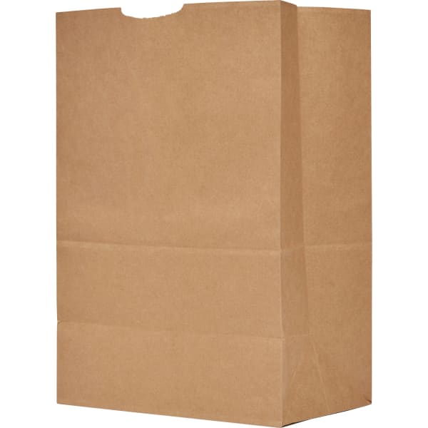 The Bag Company General Grocery Kraft Paper Bags, 17in x 12in x 7in, Brown, Bundle Of 500 Bags