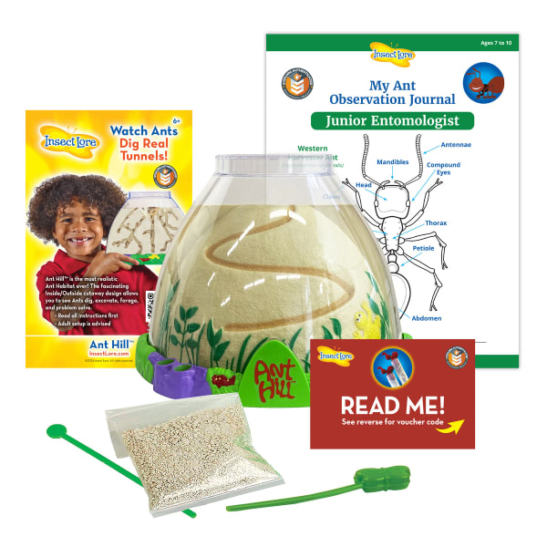 Insect Lore Ant Hill Ant Habitat, Multicolor