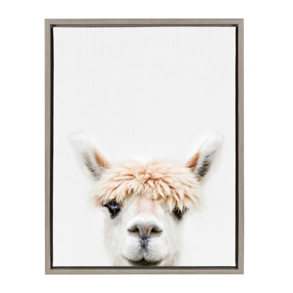 Uniek Kate And Laurel Sylvie Framed Canvas Wall Art, 18in x 24in, Alpaca Bangs Animal Print Portrait