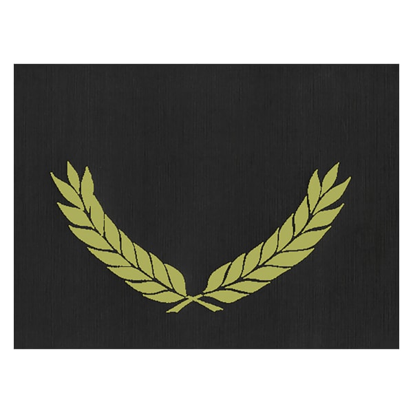 Hayes Publishing Gold Foil Stamped Black Certificate Folders, 10in x 13in, Pack Of 30