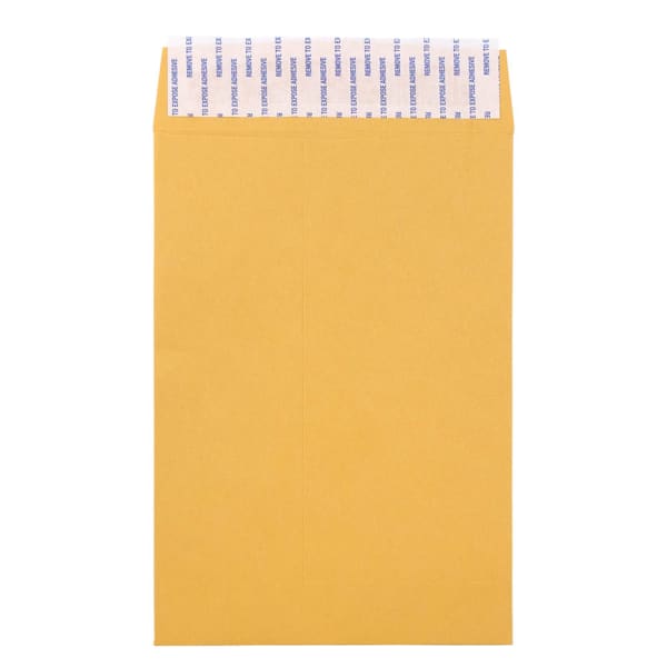 JAM Paper Envelopes, 6in x 9in, Peel & Seal Closure, Brown Kraft, Pack Of 500 Envelopes