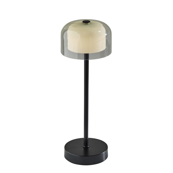 Adesso Benji Cordless LED Indoor/Outdoor Table Lamp, 13-5/8inH, Frosted Shade/Black Base