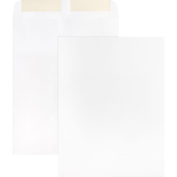 Business Source 28 lb. White Catalog Envelopes - Catalog - #10 1/2 - 9in Width x 12in Length Diameter - 28 lb - Gummed - Wove - 250 / Box - White