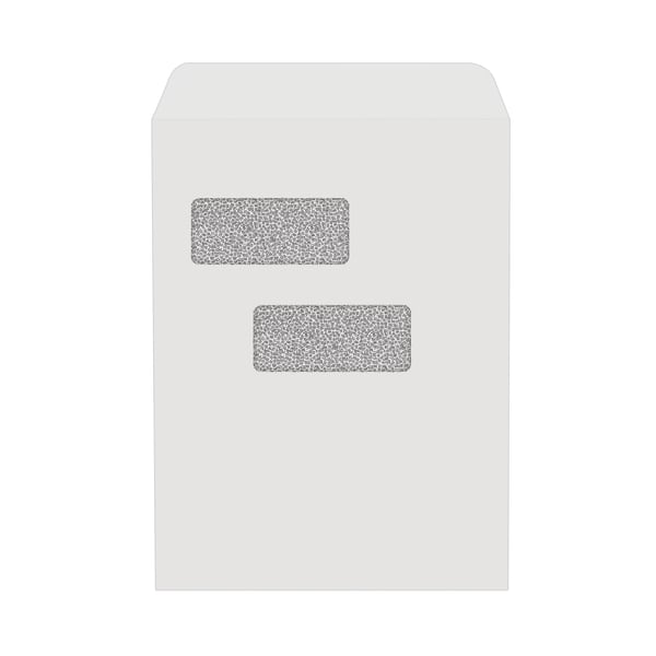 JAM PAPER 9 x 12 Security Tint Envelopes, Double Window, Peel and Seal, White, 250/pack