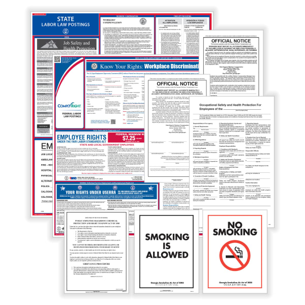 ComplyRight Public Sector Federal And State Poster Set, English, California