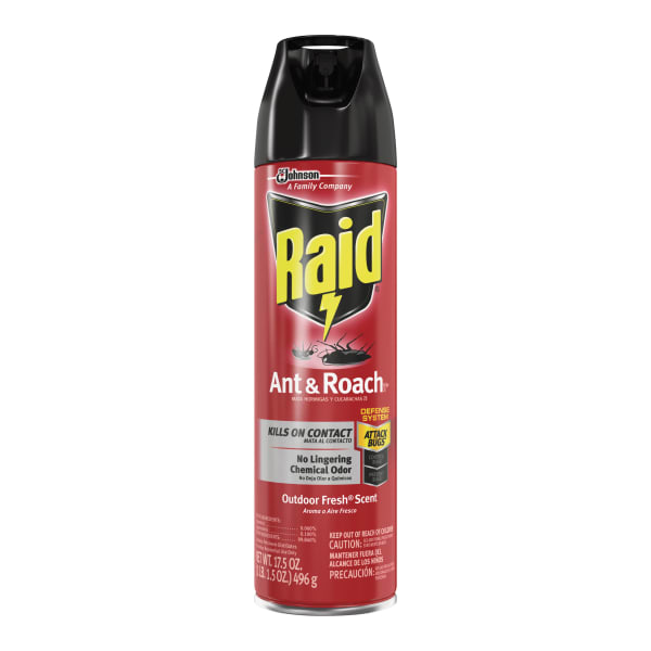 Raid Ant & Roach Killer Spray - Spray - Kills Cockroaches, Ants, Silverfish, Water Bugs, Palmetto Bug, Carpet Beetle, Earwig, Spider, Lady Beetle, Black Widow Spider, Crickets, .. - 1.09 lb - Clear - 12 / Carton