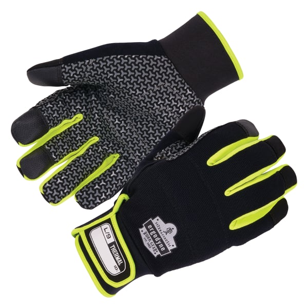 Ergodyne Proflex 850 Insulated Freezer Gloves, Medium, Black