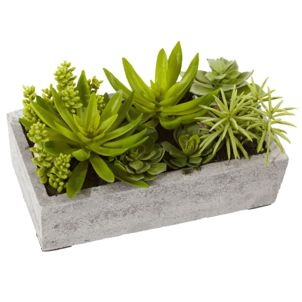Nearly Natural Succulent 6-1/2inH Plastic Plant Garden With Concrete Planter, 6-1/2inH x 12-3/4inW x 8-1/2inD, Green