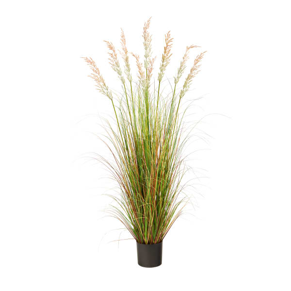 Nearly Natural Plume Grass 66inH Artificial Plant With Planter, 66inH x 30inW x 30inD, Green/Black