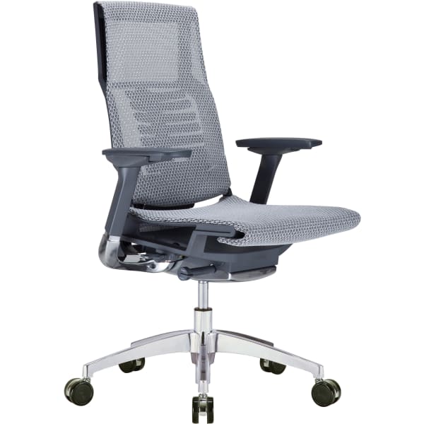 Raynor Powerfit Ergonomic Mesh Mid-Back Executive Chair, Black/Gray