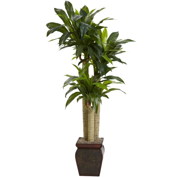 Nearly Natural 4-1/2ftH Artificial Cornstalk Dracaena Plant With Vase, Green/Brown