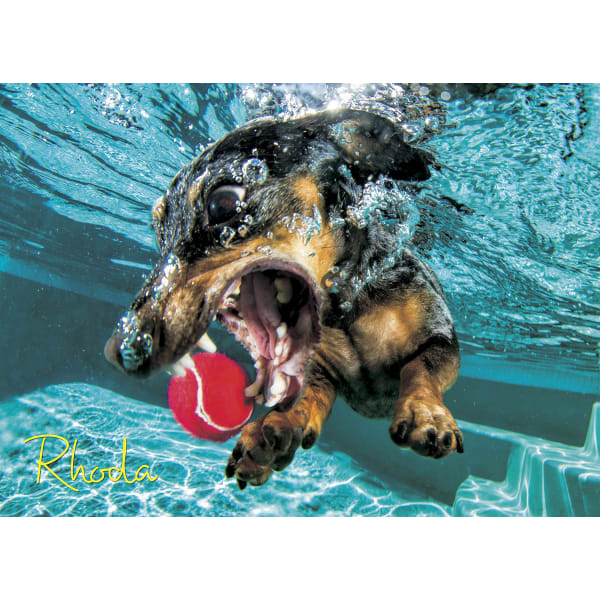 Willow Creek Press 1,000-Piece Puzzle, 26-5/8in x 19-1/4in, Underwater Dogs: Rhoda
