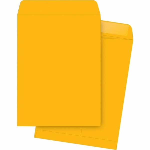 Business Source Kraft Gummed Catalog Envelopes - Catalog - #13 1/2 - 10in Width x 13in Length - 28 lb - Gummed - Kraft - Kraft - 250 / Box