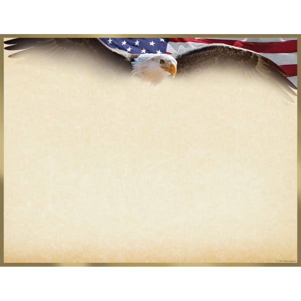 Great Papers! Foil Certificates, 8-1/2in x 11in, Flying Eagle, Pack Of 15 Certificates