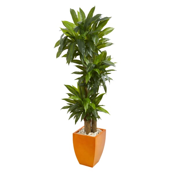 Nearly Natural Dracaena 66inH Artificial Real Touch Plant With Square Planter, 66inH x 25inW x 25inD, Green/Orange