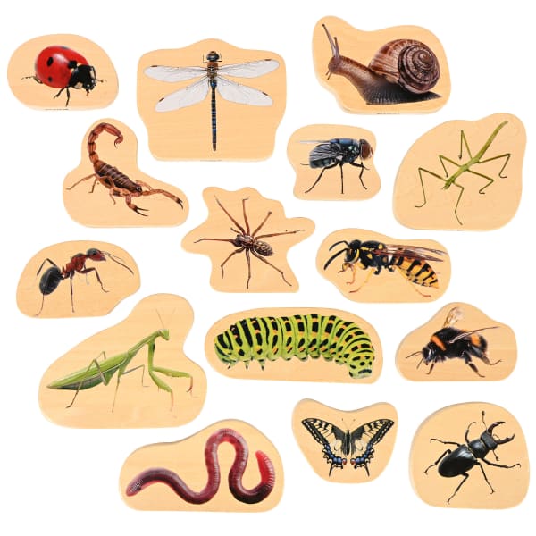 Tickit Wooden Minibeast Blocks, Set Of 15