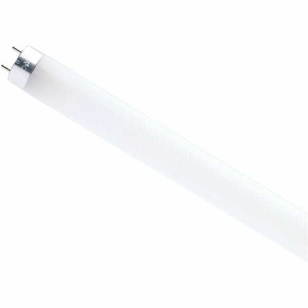 Satco 11 Watt LED T8 Bulb, S49936R1