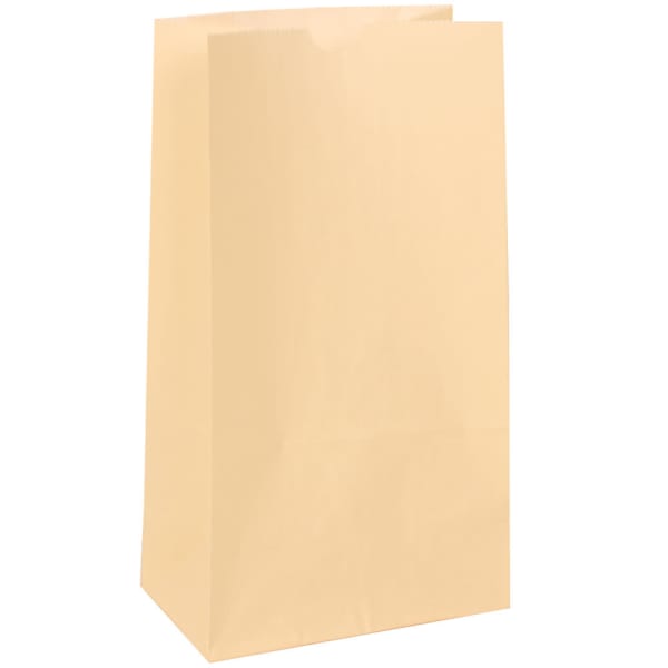 JAM Paper Medium Kraft Lunch Bags, 9-3/4inH x 5inW x 3inD, Ivory, Pack Of 500 Bags