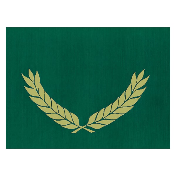 Hayes Publishing Gold Foil Stamped Green Certificate Folders, 10in x 13in, Pack Of 30