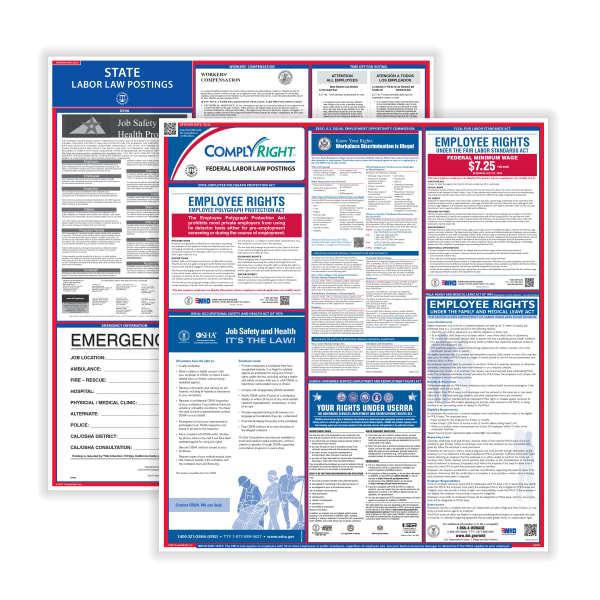 ComplyRight Federal And State Labor Law Poster Set, English, Montana