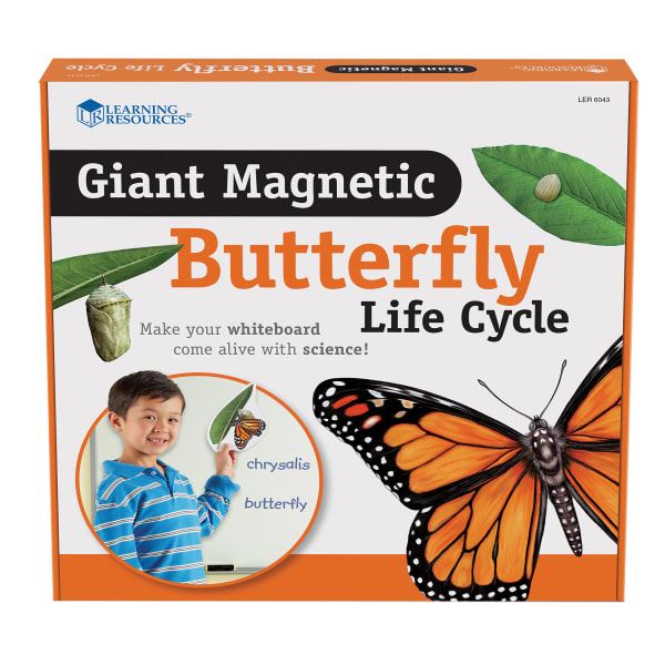Learning Resources Giant Magnetic Butterfly Life Cycle, Set Of 9