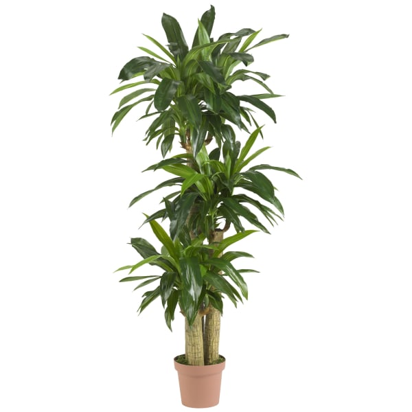 Nearly Natural 57inH Real-Touch Silk Corn Stalk Dracaena Plant With Pot, Green
