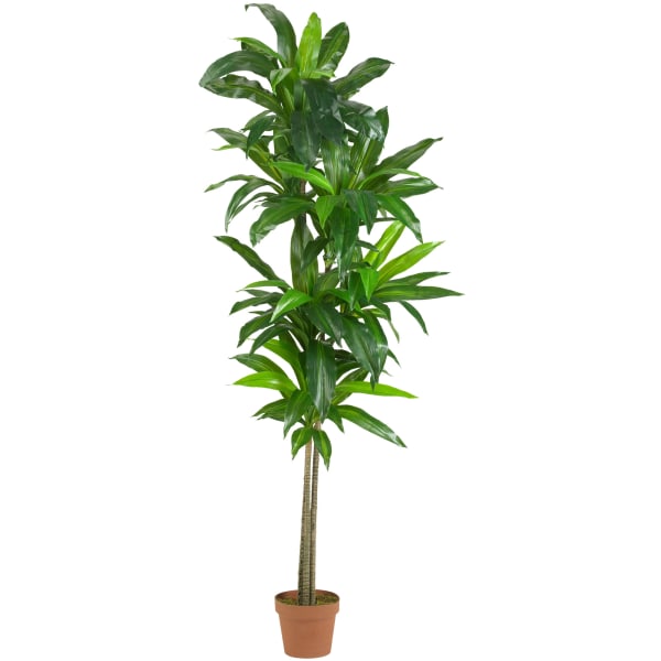 Nearly Natural 6ftH Real-Touch Silk Dracaena Plant With Pot, Green