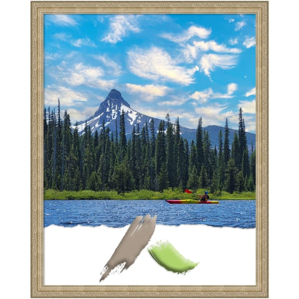 Amanti Art Picture Frame, Opening Size 22in x 28in, 24in x 30in, Paris Champagne