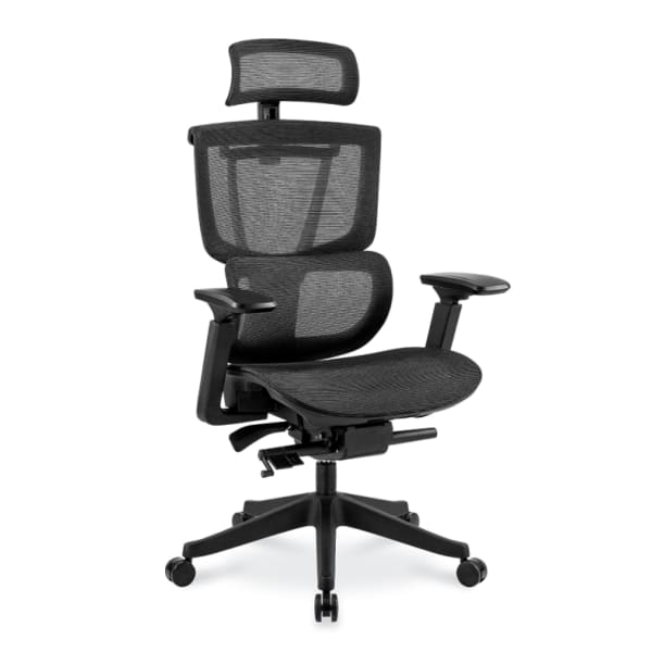 FlexiSpot C7 Ergonomic Mesh High-Back Office Chair, Black