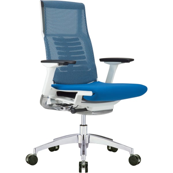 Raynor Powerfit Ergonomic Fabric Mid-Back Executive Office Chair, Blue/White
