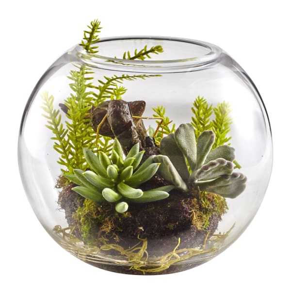 Nearly Natural Mixed Succulents 6-1/2inH Plastic Garden With Glass Vase, 6-1/2inH x 8inW x 8inD, Green