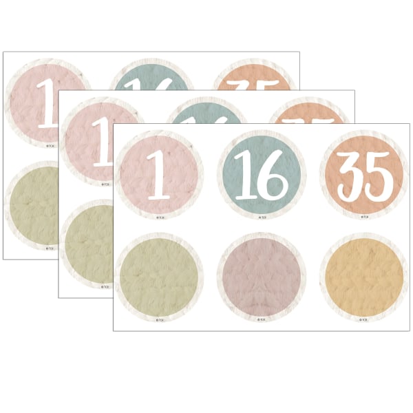 Teacher Created Resources Numbers Magnetic Accents, Everyone is Welcome, 42 Per Pack, Set Of 3 Packs