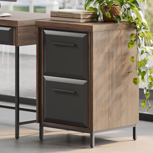 Thomasville Alderbrook 21inD Vertical 2-Drawer File Cabinet, Walnut/Matte Black