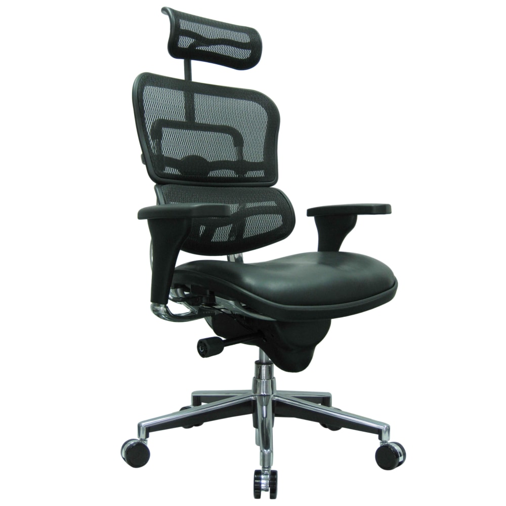 Raynor Eurotech Ergohuman Ergonomic Bonded LeatherMesh HighBack Chair BlackChrome PopularChairscom Raynor Eurotech Ergohuman Ergonomic Bonded LeatherMesh High Back Chair BlackChrome PopularChairscom