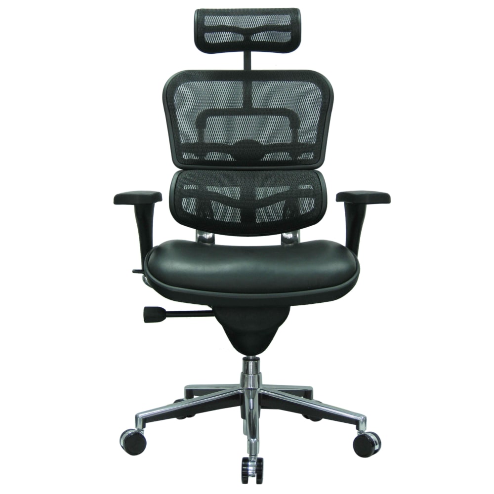 Raynor Eurotech Ergohuman Ergonomic Bonded LeatherMesh HighBack Chair BlackChrome PopularChairscom Raynor Eurotech Ergohuman Ergonomic Bonded LeatherMesh High Back Chair BlackChrome PopularChairscom