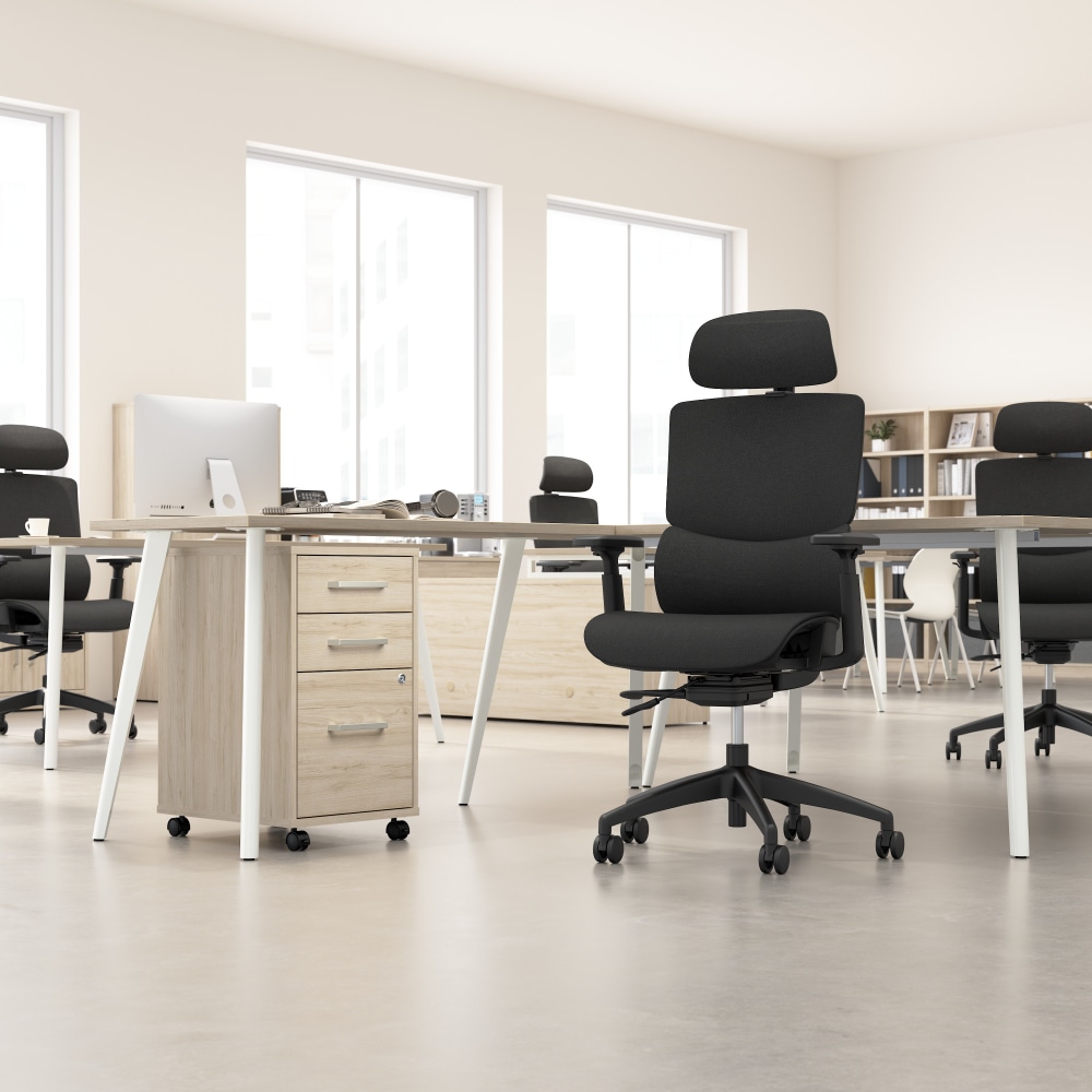 Bush Business Furniture Align Fabric High Back Ergonomic Office Chair with Lumbar Support Black Nylon Mesh Standard Deliver Service PopularChairscom Bush Business Furniture Align Fabric High Back Ergonomic Office Chair with Lumbar Support Black Nylon Mesh Standard Deliver Service PopularChairscom