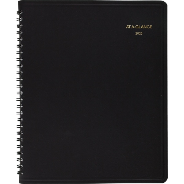 AT-A-GLANCE 24-Hour 2023 RY Daily Appointment Book Planner 6337478