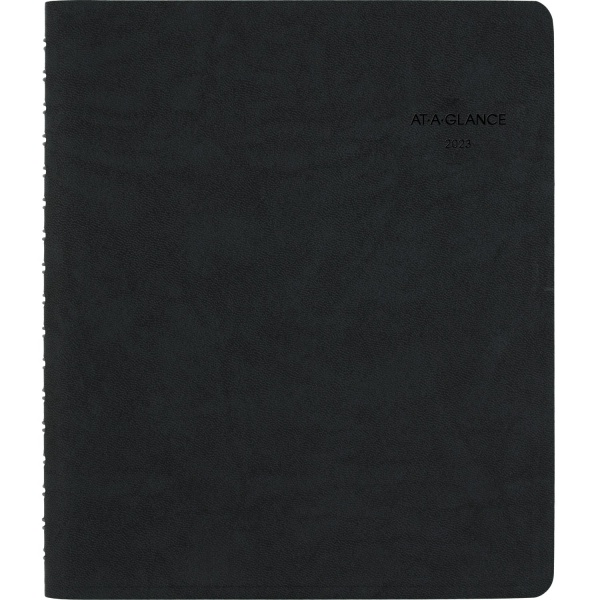 AT-A-GLANCE The Action Planner 2023 RY Daily Appointment Book Planner 7570887
