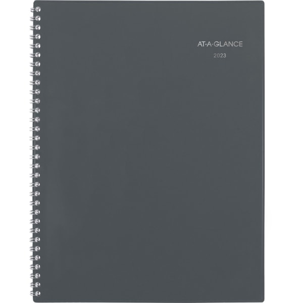 AT-A-GLANCE DayMinder 2023 RY Monthly Planner 7688041