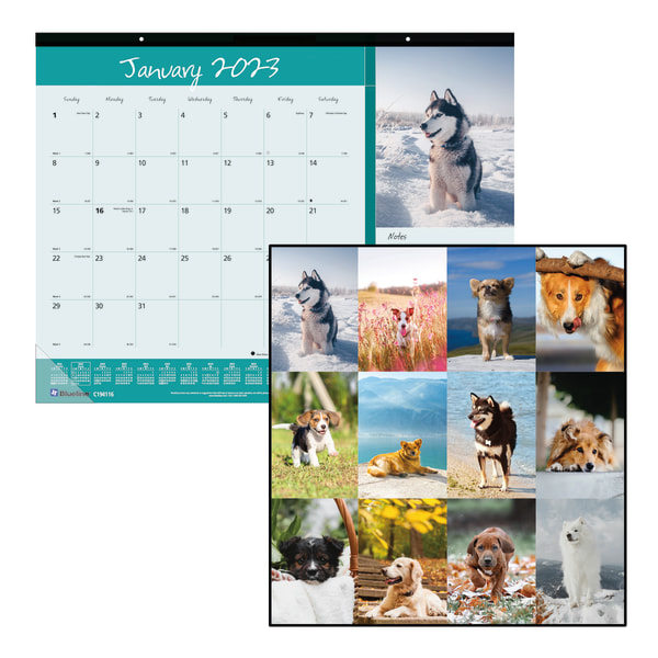Blueline&reg; Colorful Monthly Desk Pad Calendar 9211148