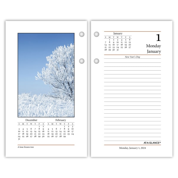 2024 AT-A-GLANCE® Daily Photographic Loose-Leaf Desk Calendar Refill,  3-1/2