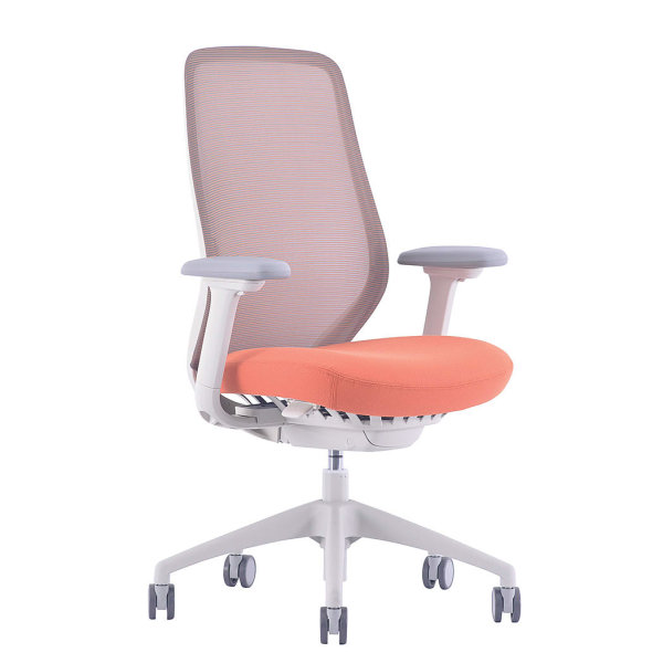 Haworth soji 2024 chair review